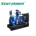 50kVA 75kVA 100kVA Smaller Power Open Type Bio Gas Generator Mass Genset